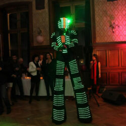 Animation échassier LED Suisse