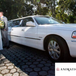 Location limousine Delémont ⋆ Lincoln Town Car Image
