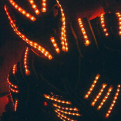 Show échassier lumineux Suisse romande