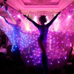 Animation échassière lumineuse Fribourg