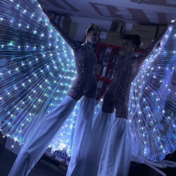 Échassière LED Fribourg