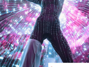 Échassière lumineuse Fribourg – Ailes d’Isis LED