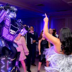 Performer LED Fribourg